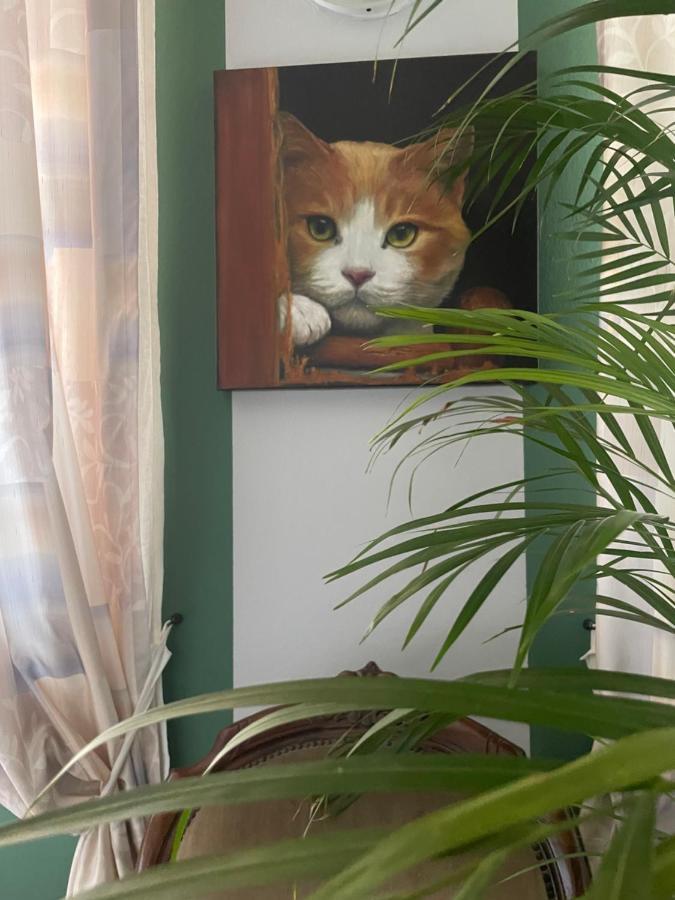 Il Giardino Di Emilia - Intero Appartamento In Villa Con Giardino Privato E Piscina Estiva Pontirolo Nuovo Buitenkant foto