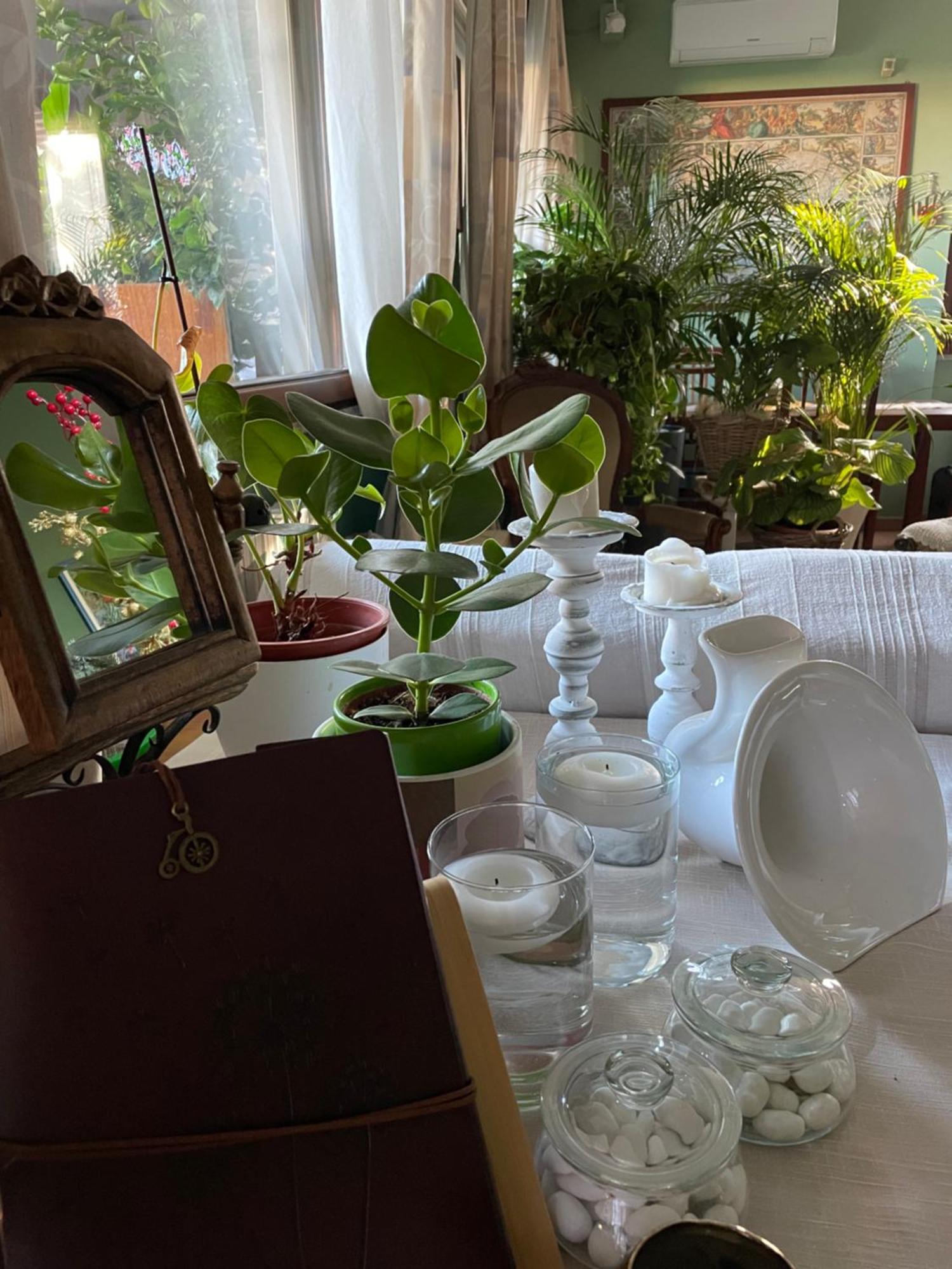 Il Giardino Di Emilia - Intero Appartamento In Villa Con Giardino Privato E Piscina Estiva Pontirolo Nuovo Buitenkant foto