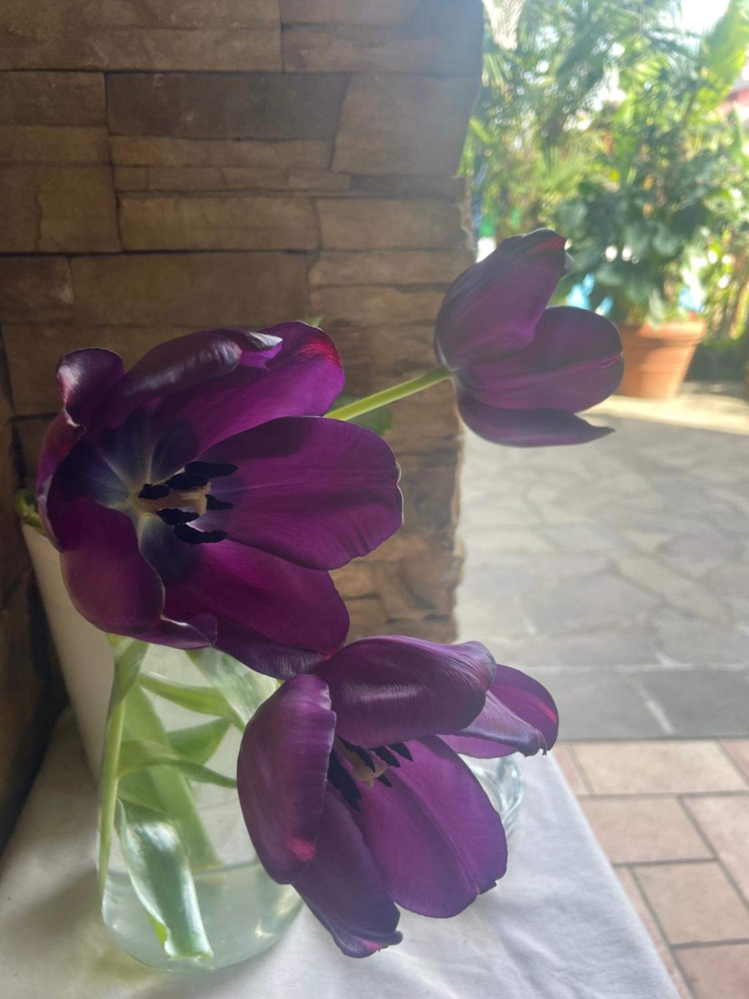 Il Giardino Di Emilia - Intero Appartamento In Villa Con Giardino Privato E Piscina Estiva Pontirolo Nuovo Buitenkant foto